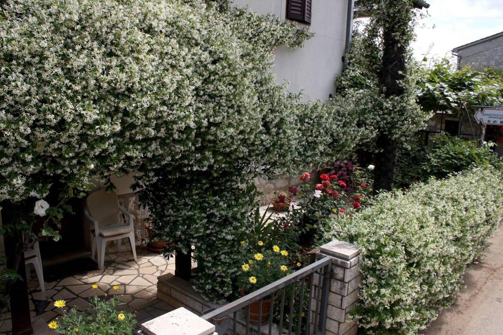 Anamarija Apartments Near The Beach And The Fantastic Adria Sea With Over 10 Small Islands Close By Фунтана Екстер'єр фото